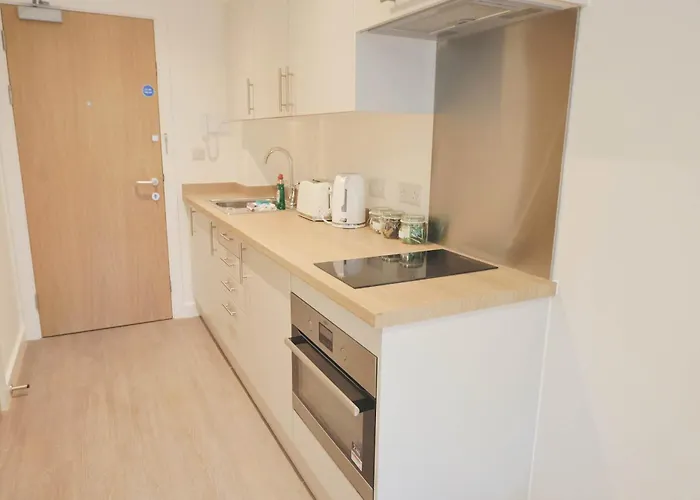 Apartament Redcross Street 309 *